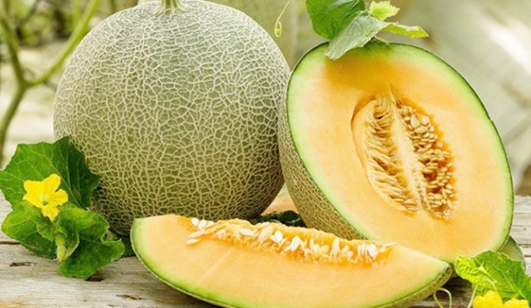 Bảo quản dưa lưới bằng than hoạt tính giúp kéo dài thời gian sử dụng